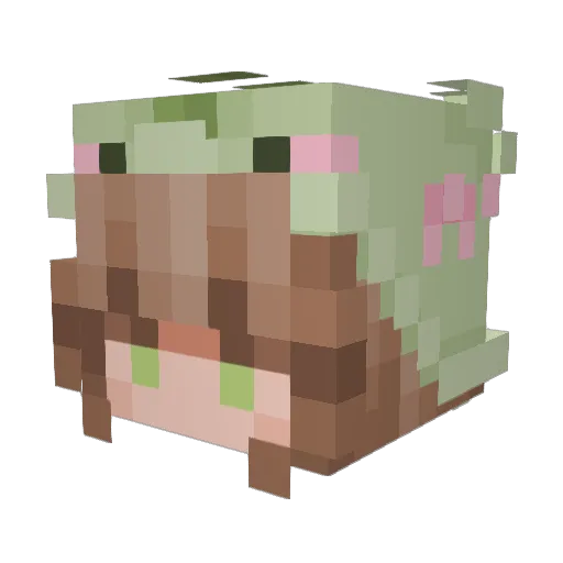 Ophellaa Minecraft avatar head, 3D render