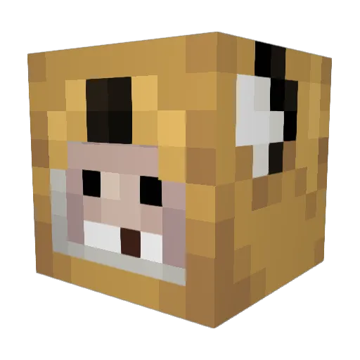 Opinsoppy Minecraft avatar head, 3D render