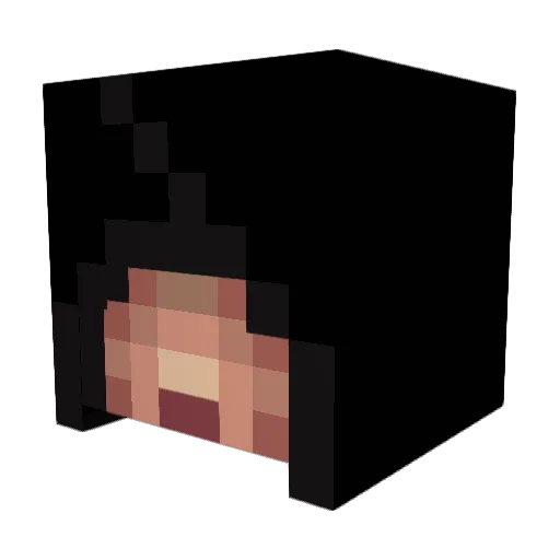 Opodeldoks Minecraft avatar head, 3D render