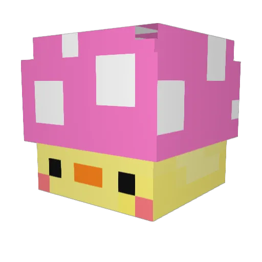 Opolo_ Minecraft avatar head, 3D render