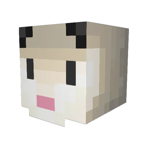 Opossum61 Minecraft avatar head, 3D render