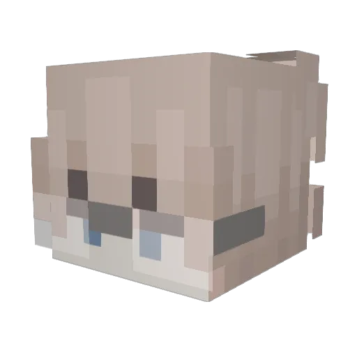 OpossumPassel Minecraft avatar head, 3D render