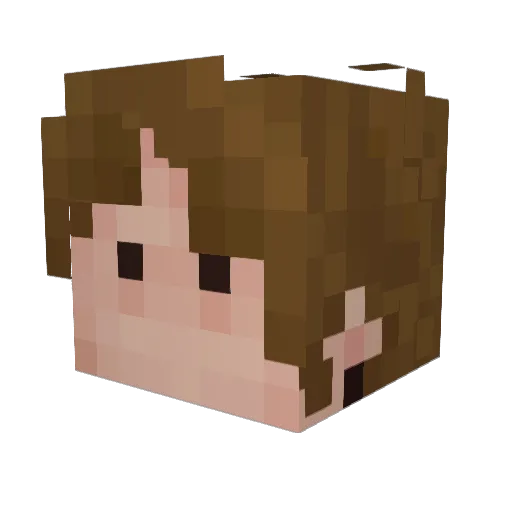 Opossumjj Minecraft avatar head, 3D render