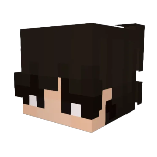 OppCatcher Minecraft avatar head, 3D render