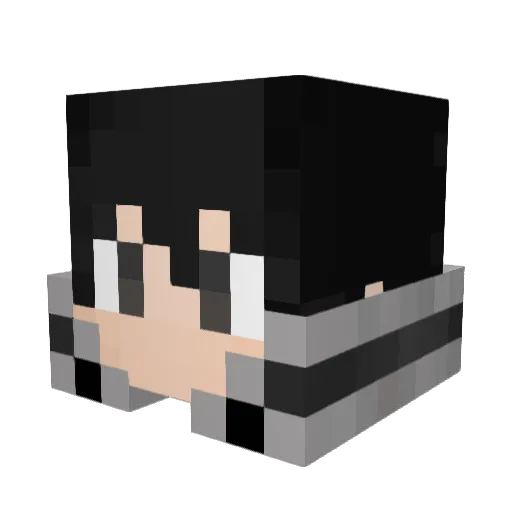 Oppai_Fan Minecraft avatar head, 3D render