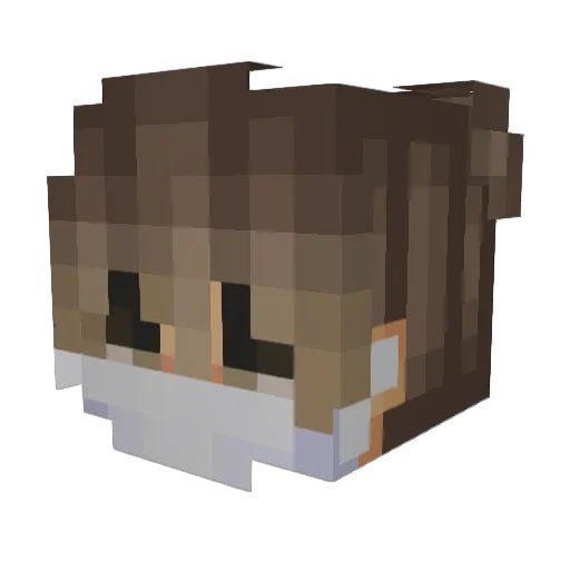 Oppais Minecraft avatar head, 3D render