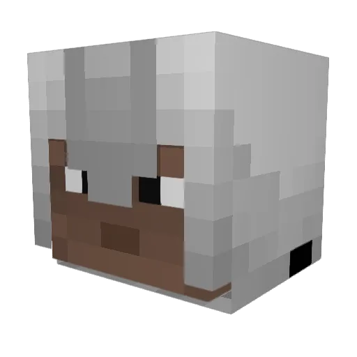 OppeJr Minecraft avatar head, 3D render