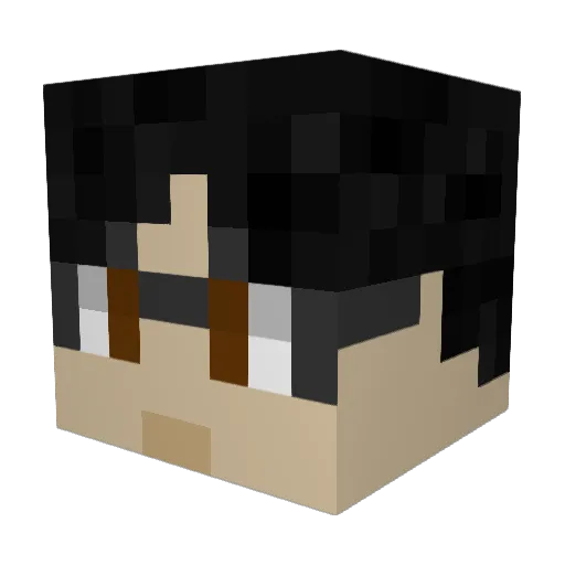 Oppoman69 Minecraft avatar head, 3D render