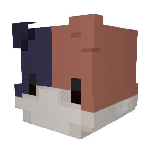 Oppressivepie Minecraft avatar head, 3D render