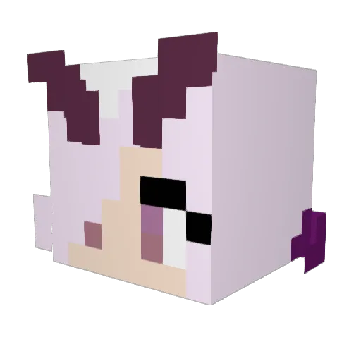 Opsec37 Minecraft avatar head, 3D render