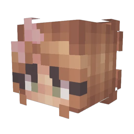 OptShika Minecraft avatar head, 3D render