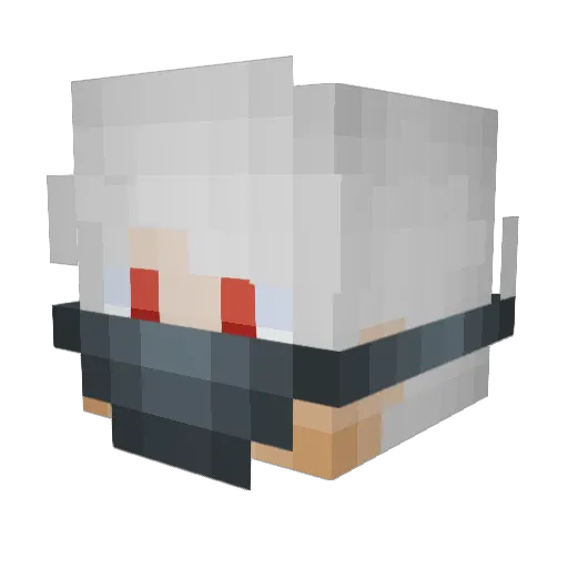 Opten01 Minecraft avatar head, 3D render
