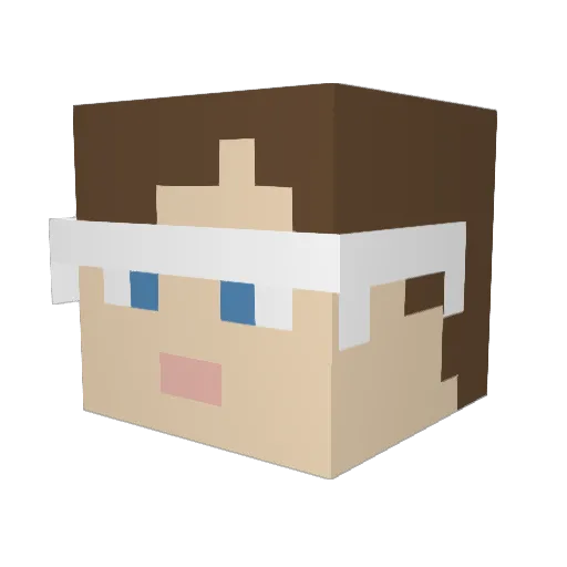 OptiCrow Minecraft avatar head, 3D render