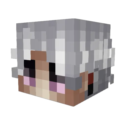 OptiicAway Minecraft avatar head, 3D render