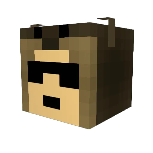 OptimumHydration Minecraft avatar head, 3D render