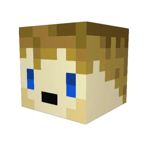 OptionalFern582 Minecraft avatar head, 3D render
