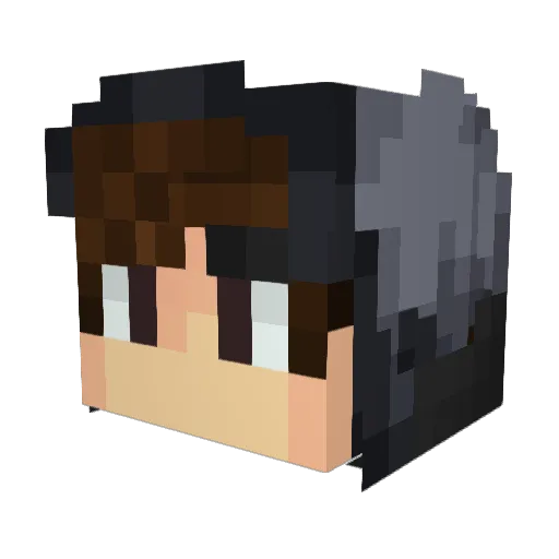 OptionsLO Minecraft avatar head, 3D render