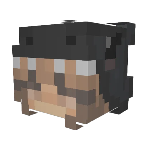 Optre Minecraft avatar head, 3D render