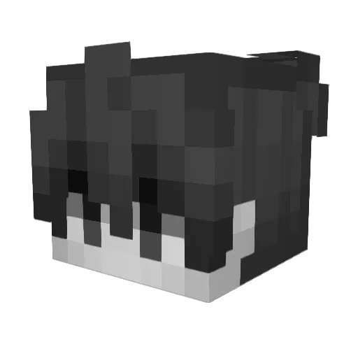 OptyWine Minecraft avatar head, 3D render