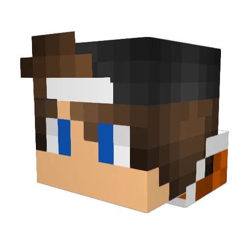 Optymist_Ray Minecraft avatar head, 3D render