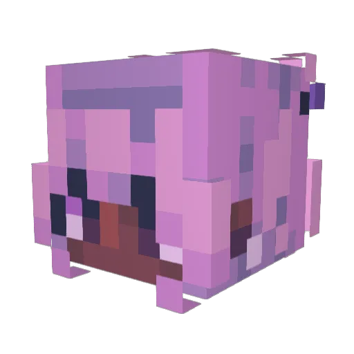 Or3oCookie Minecraft avatar head, 3D render