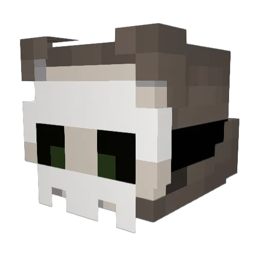Oracc00n__ Minecraft avatar head, 3D render