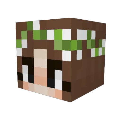 Oramercury Minecraft avatar head, 3D render