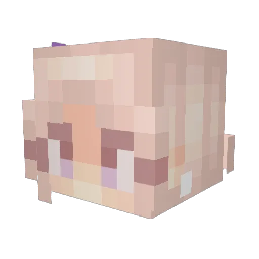 OranJayuice Minecraft avatar head, 3D render