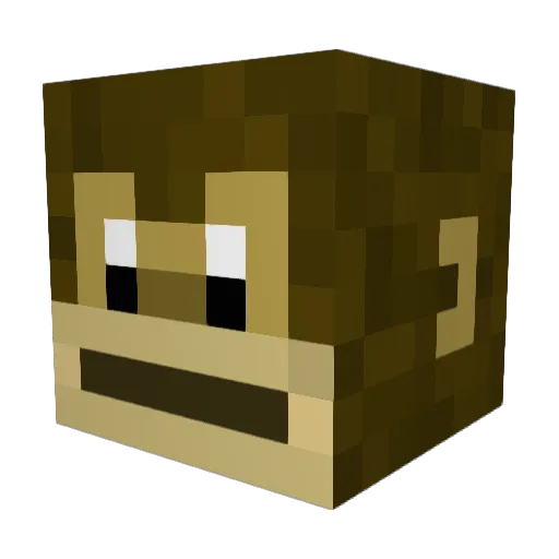 Oran_Guan Minecraft avatar head, 3D render