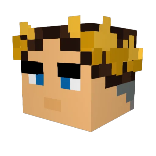 Oranaja Minecraft avatar head, 3D render
