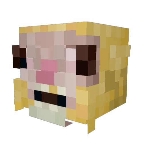 Orange845 Minecraft avatar head, 3D render