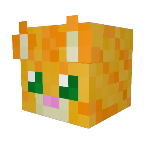 Orange8998 Minecraft avatar head, 3D render