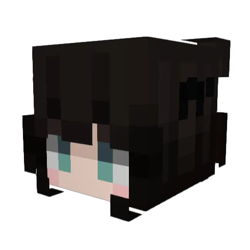 OrangeCheasy Minecraft avatar head, 3D render