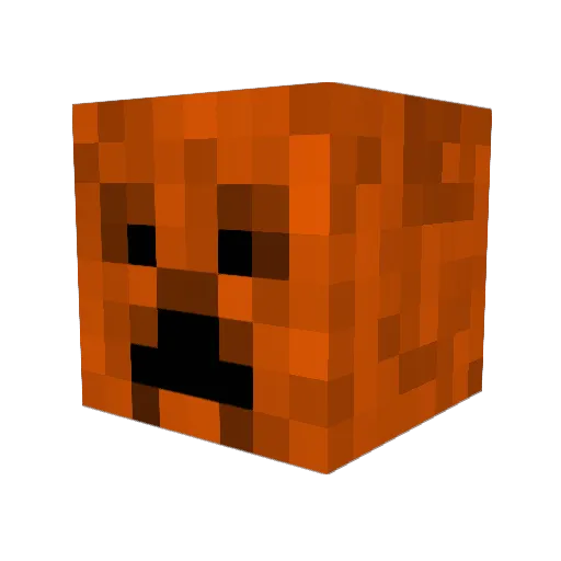 OrangeCreeper320 Minecraft avatar head, 3D render