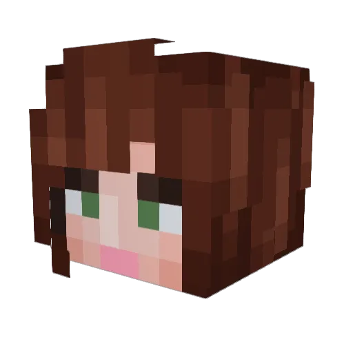 OrangeDigiteen77 Minecraft avatar head, 3D render