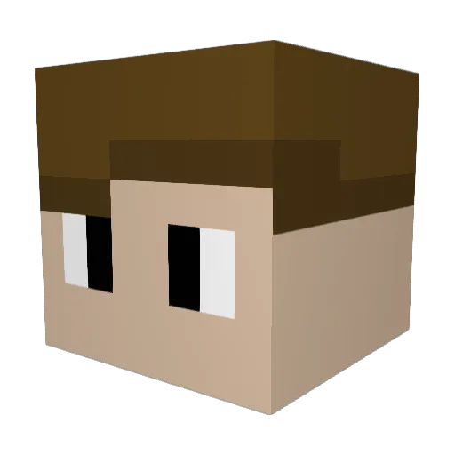 OrangeElk308291 Minecraft avatar head, 3D render