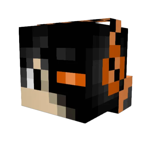 OrangeGuycom Minecraft avatar head, 3D render