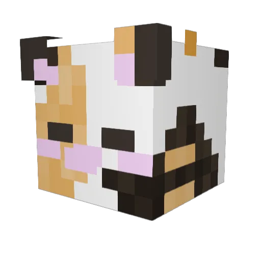 OrangeKitty4802 Minecraft avatar head, 3D render