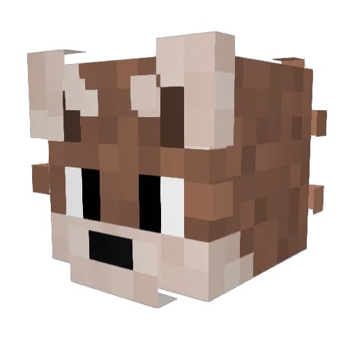OrangeNinjaE Minecraft avatar head, 3D render
