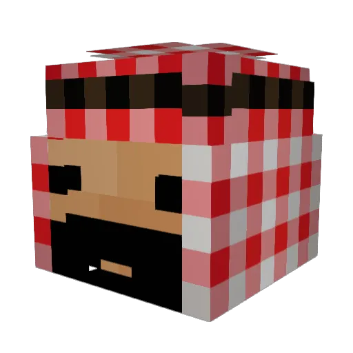 OrangePekoe123 Minecraft avatar head, 3D render