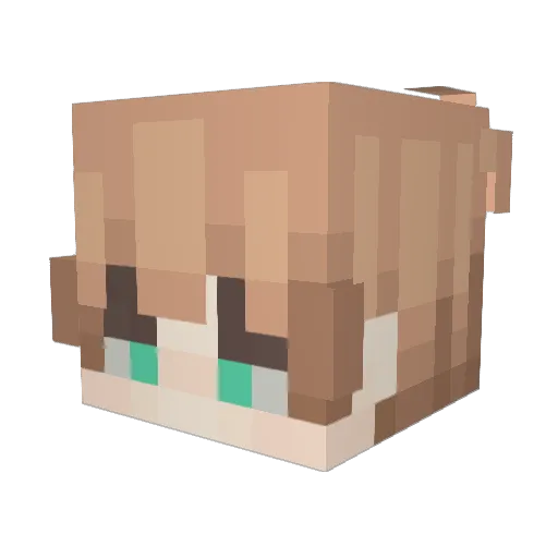 OrangeRaptor116 Minecraft avatar head, 3D render