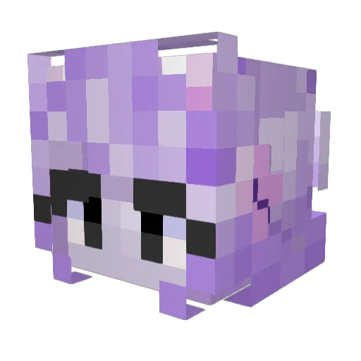OrangeSplosion7 Minecraft avatar head, 3D render