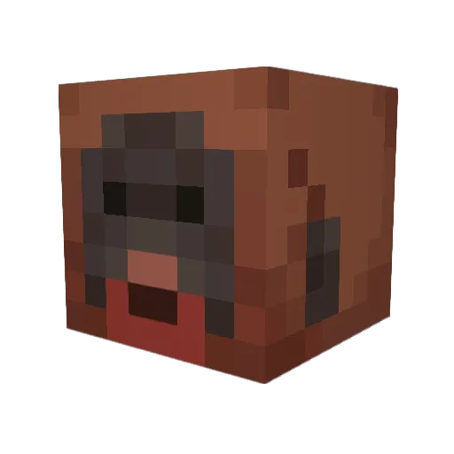 OrangeTango_ Minecraft avatar head, 3D render