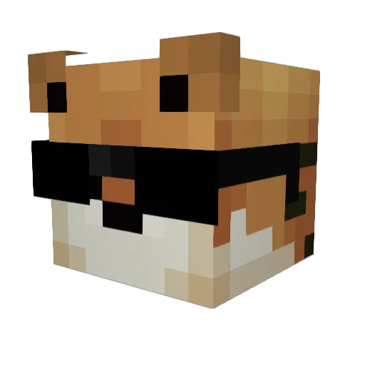 OrangeTigers777 Minecraft avatar head, 3D render