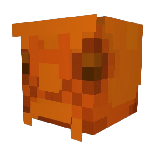 OrangeWonder Minecraft avatar head, 3D render
