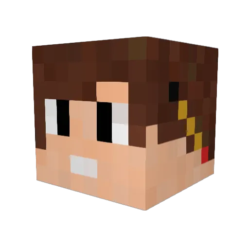 Orange_Dingo Minecraft avatar head, 3D render