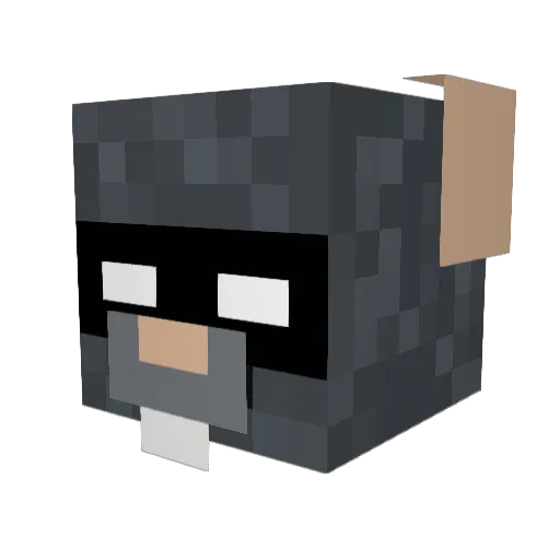 Orange_Man52 Minecraft avatar head, 3D render