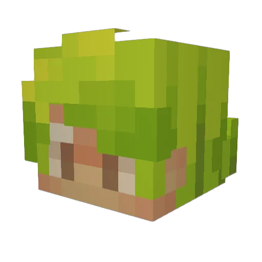Orange_br Minecraft avatar head, 3D render