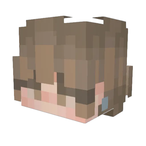Orange_cape3992 Minecraft avatar head, 3D render