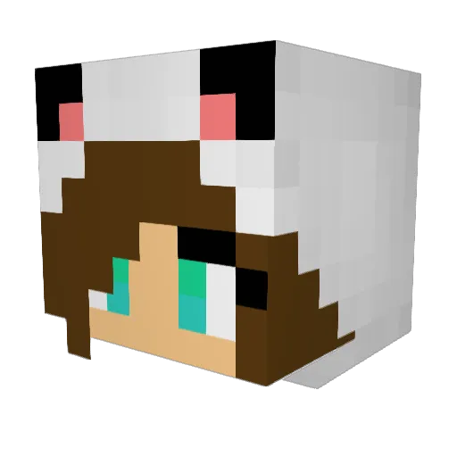 Orange_firely313 Minecraft avatar head, 3D render